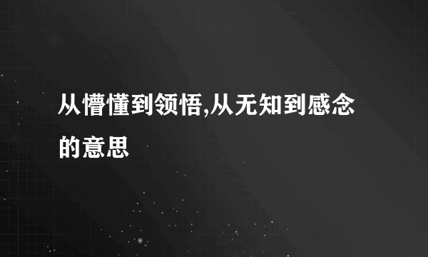 从懵懂到领悟,从无知到感念的意思