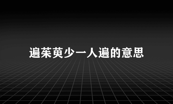 遍茱萸少一人遍的意思