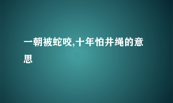 一朝被蛇咬,十年怕井绳的意思