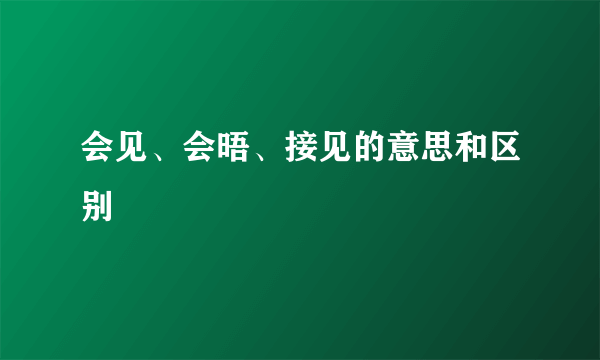 会见、会晤、接见的意思和区别