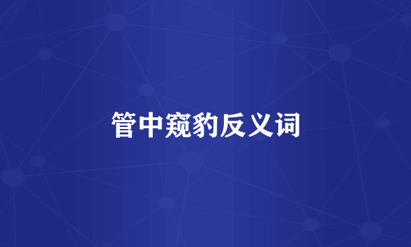 管中窥豹反义词