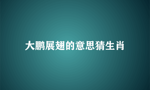 大鹏展翅的意思猜生肖