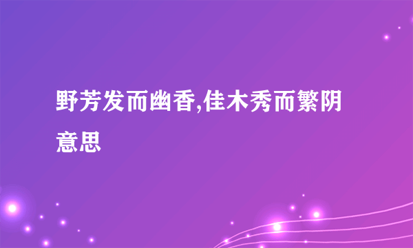 野芳发而幽香,佳木秀而繁阴意思