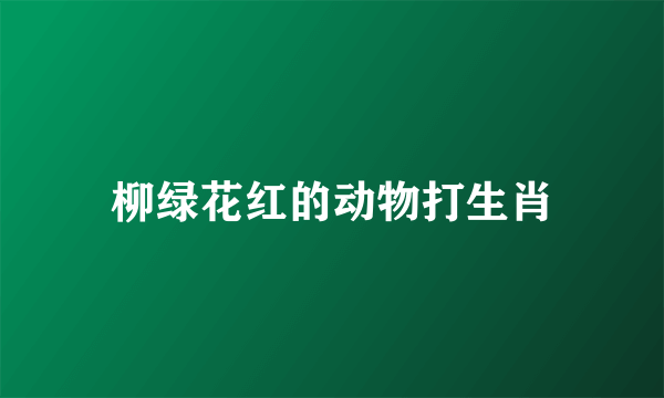 柳绿花红的动物打生肖