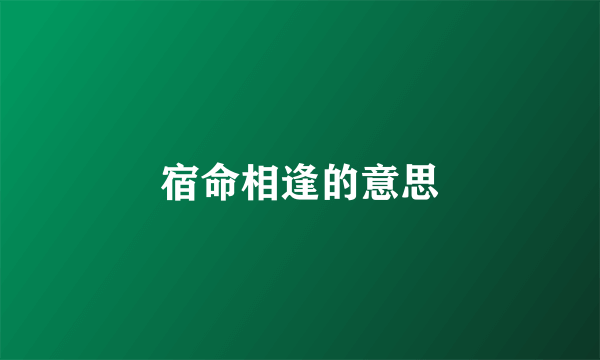 宿命相逢的意思