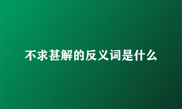 不求甚解的反义词是什么