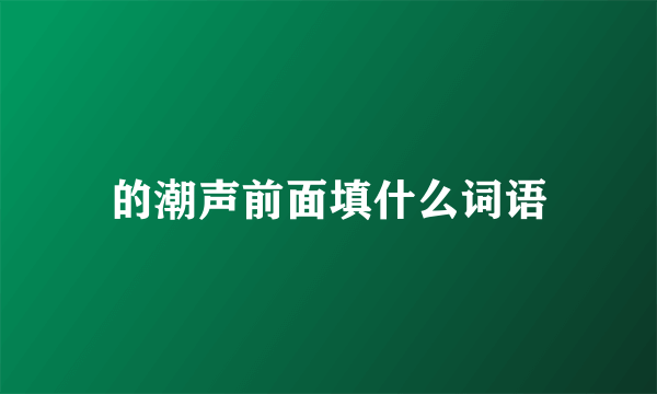 的潮声前面填什么词语