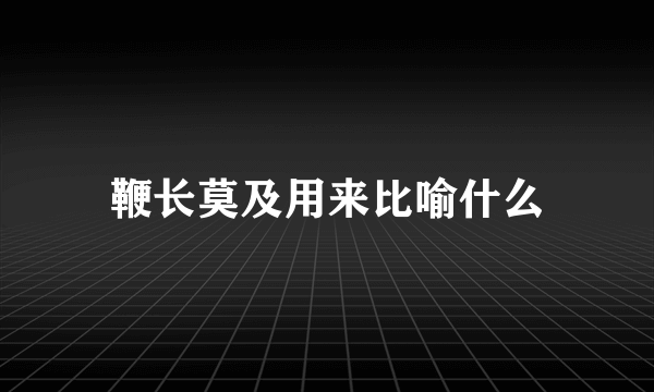 鞭长莫及用来比喻什么