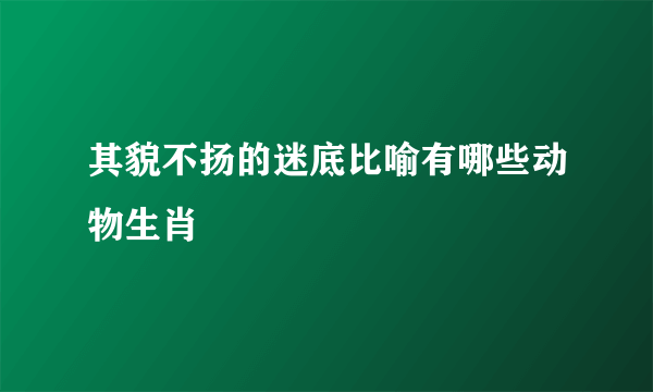 其貌不扬的迷底比喻有哪些动物生肖