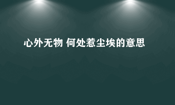 心外无物 何处惹尘埃的意思
