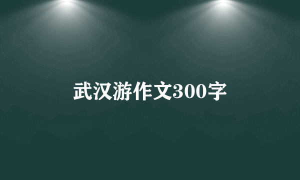 武汉游作文300字