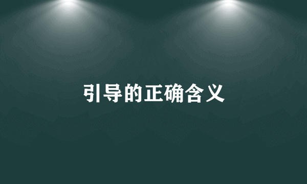 引导的正确含义