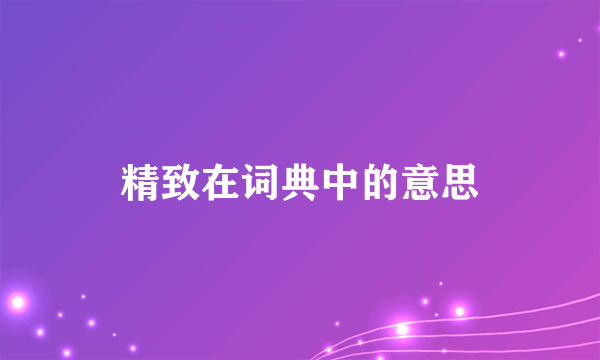 精致在词典中的意思