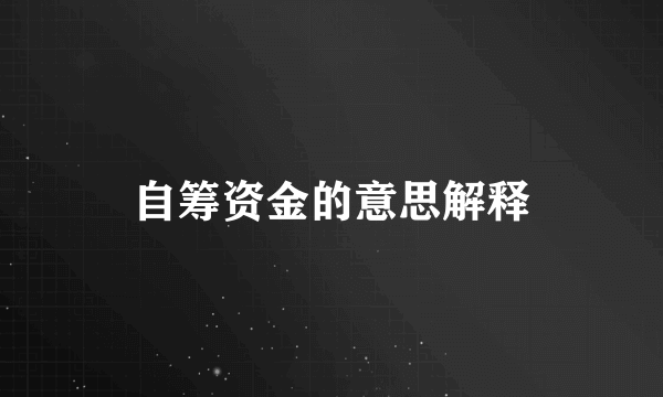 自筹资金的意思解释