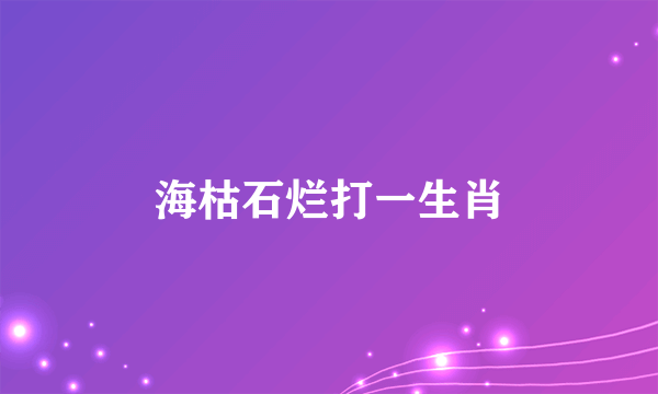 海枯石烂打一生肖
