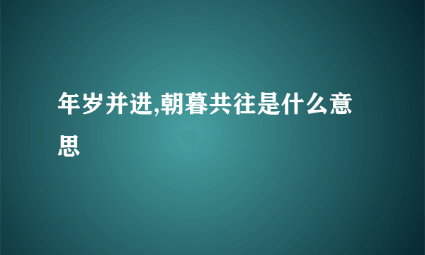 年岁并进,朝暮共往是什么意思