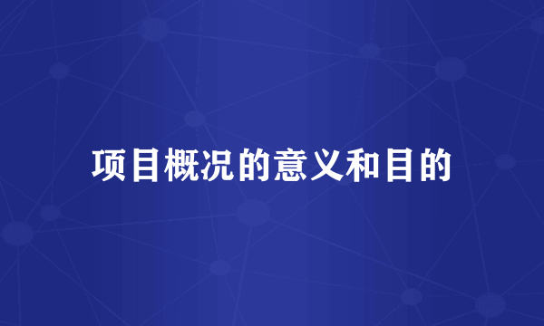项目概况的意义和目的