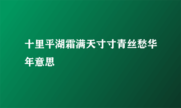 十里平湖霜满天寸寸青丝愁华年意思