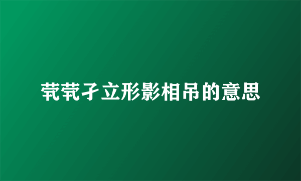 茕茕孑立形影相吊的意思