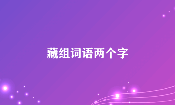藏组词语两个字
