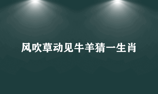 风吹草动见牛羊猜一生肖