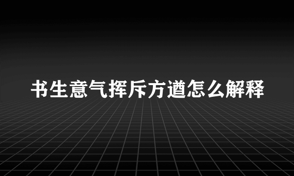 书生意气挥斥方遒怎么解释