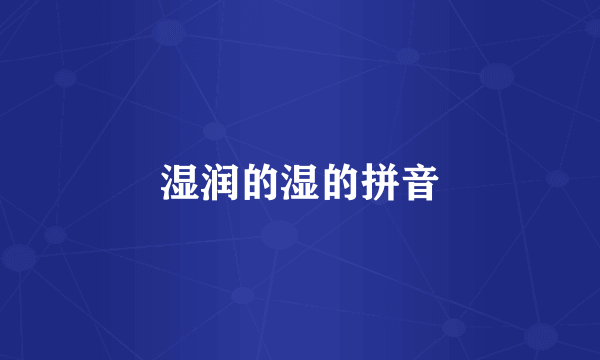 湿润的湿的拼音