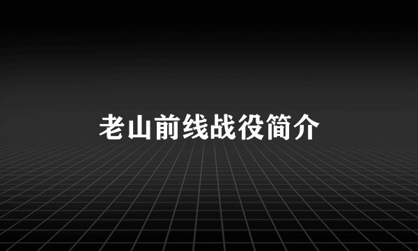 老山前线战役简介