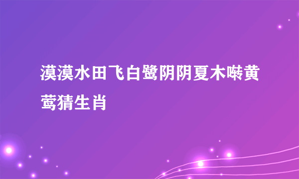 漠漠水田飞白鹭阴阴夏木啭黄莺猜生肖