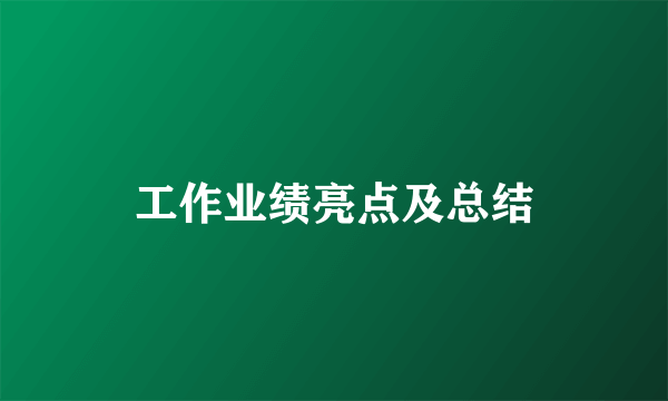 工作业绩亮点及总结