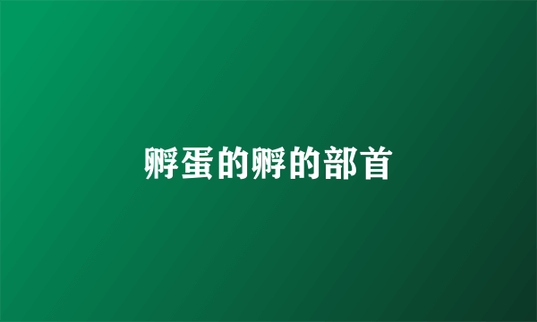 孵蛋的孵的部首
