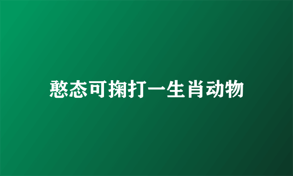 憨态可掬打一生肖动物