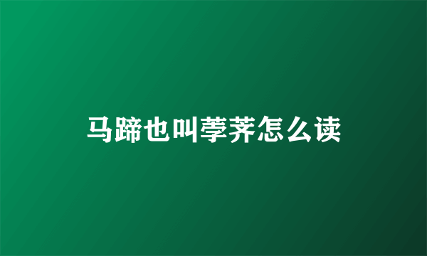 马蹄也叫荸荠怎么读