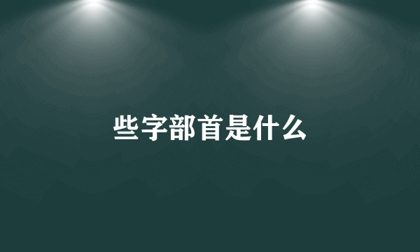 些字部首是什么