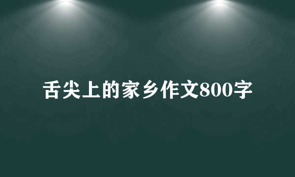 舌尖上的家乡作文800字