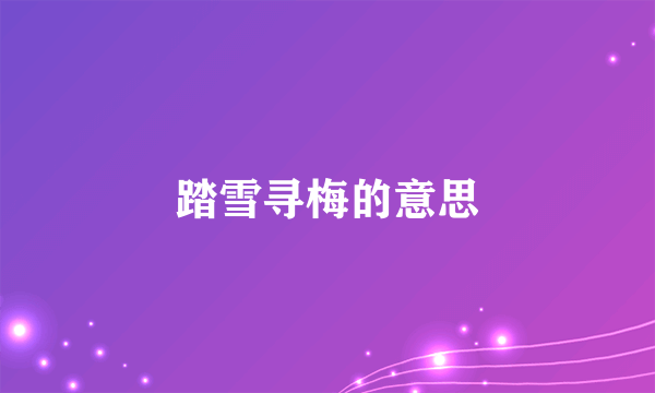 踏雪寻梅的意思