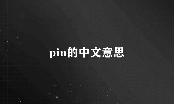pin的中文意思