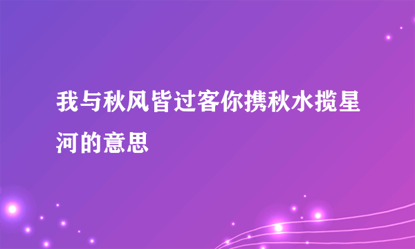 我与秋风皆过客你携秋水揽星河的意思