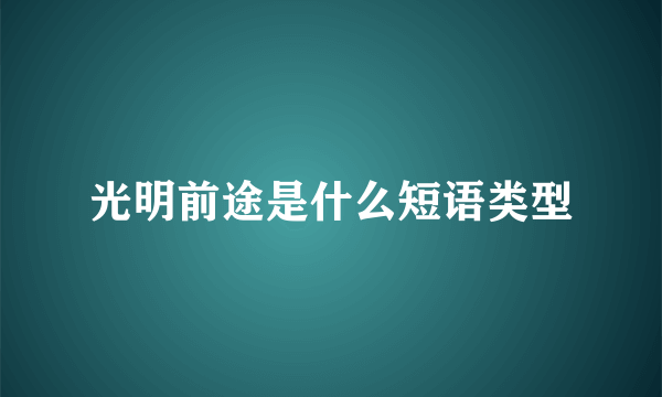 光明前途是什么短语类型