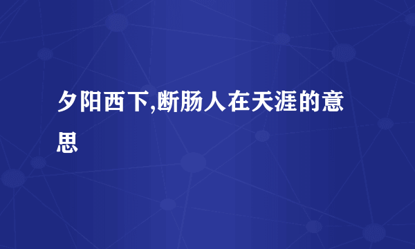 夕阳西下,断肠人在天涯的意思