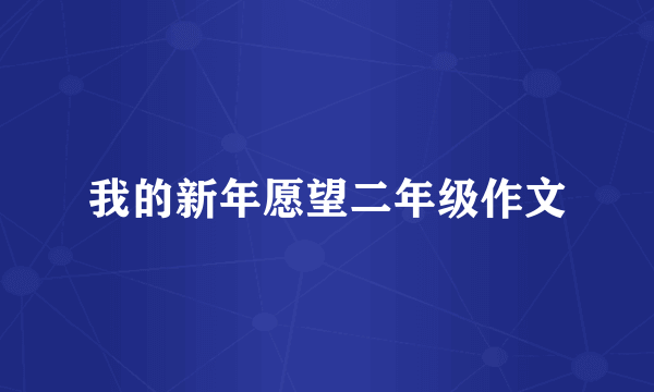 我的新年愿望二年级作文