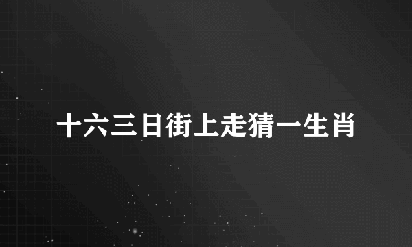 十六三日街上走猜一生肖