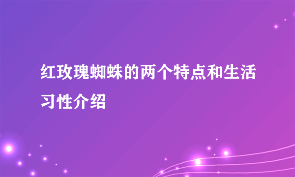 红玫瑰蜘蛛的两个特点和生活习性介绍