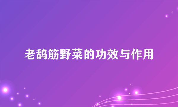 老鸹筋野菜的功效与作用