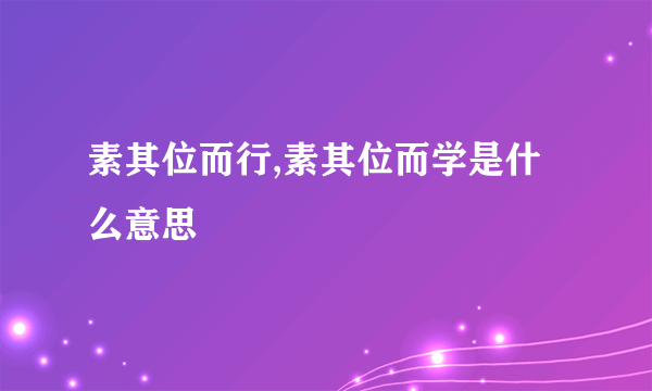素其位而行,素其位而学是什么意思