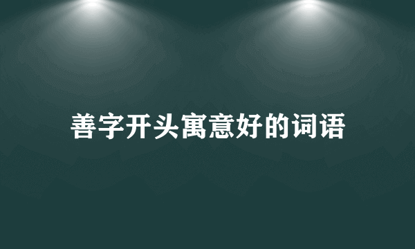 善字开头寓意好的词语