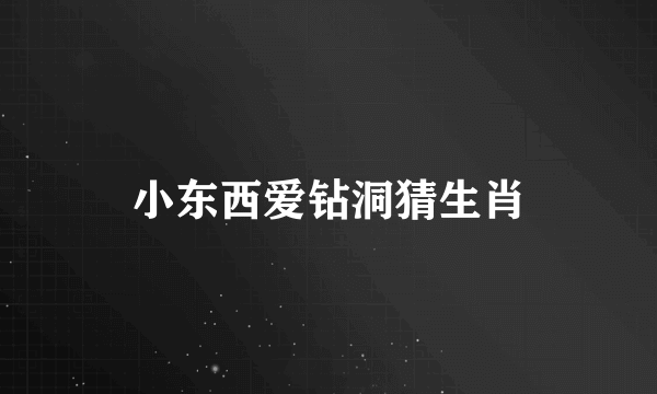 小东西爱钻洞猜生肖