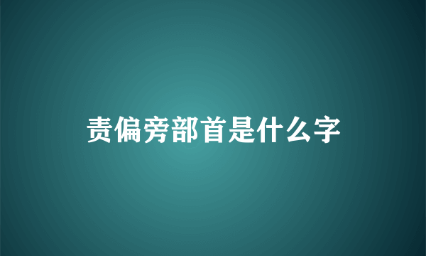 责偏旁部首是什么字