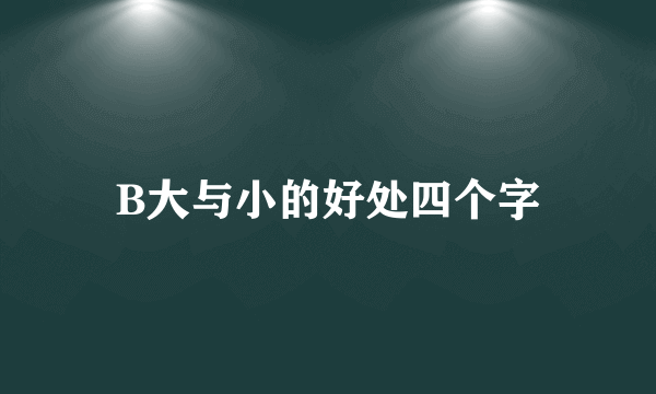 B大与小的好处四个字