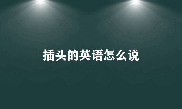 插头的英语怎么说